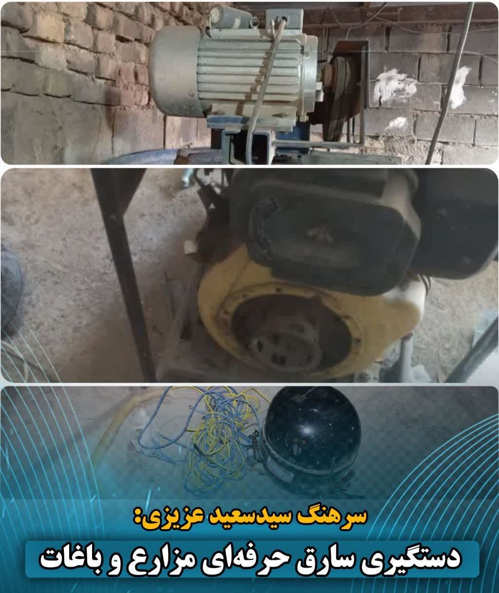 دستگیری سارق حرفه‌ای مزارع و باغات